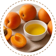 Organic Apricot Kernel Oil